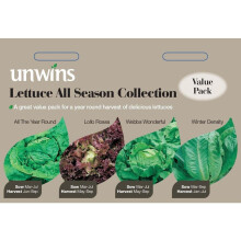 Unwins Delicious Lettuce All Year Round Season Leaves Collection Seeds