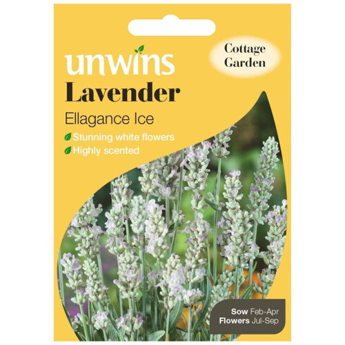 Unwins Pictorial Packet - Lavender Ellagance Ice (Recommended) - 20 Seeds