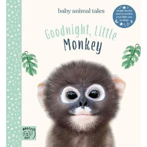 Goodnight, Little Monkey | Hardback - Book