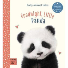 Goodnight, Little Panda | Hardback - Book