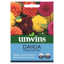 Unwins Grow Your Own Bright Colourful Dahlia Pompom Mix Flower Seeds