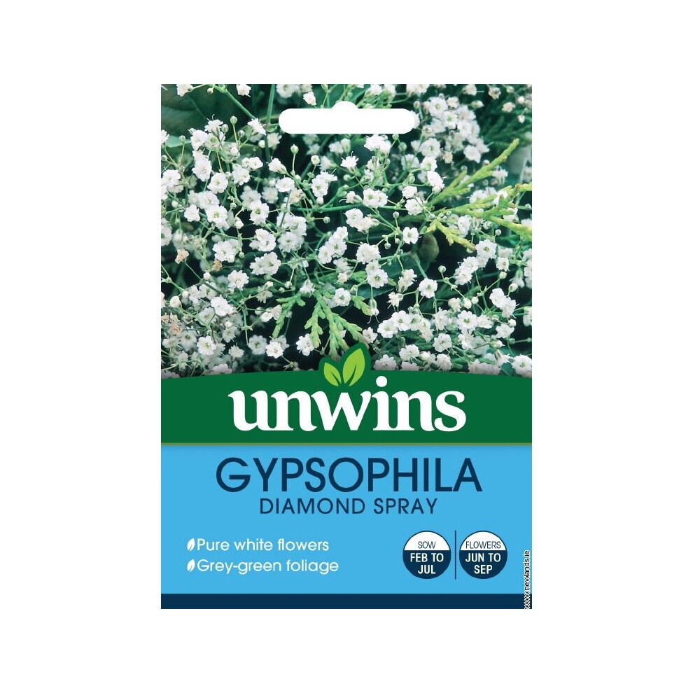Unwins Grow Your Own Pure White Gypsophila Diamond Spray Flower Seeds
