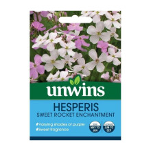 Unwins Grow Your Own Hesperis Sweet Rocket Enchantment Flower Seeds