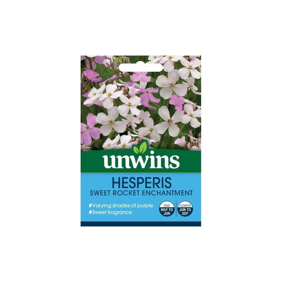 Unwins Grow Your Own Hesperis Sweet Rocket Enchantment Flower Seeds
