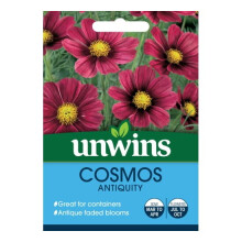 Unwins Grow Your Own Bee Magnet Cosmos Antiquity Flower Seeds