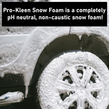 (10L Snow Foam & Lance) ProKleen Snow Foam Lavor Compatible Lance Kit