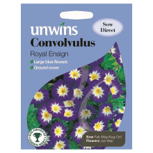 Unwins Grow Your Own Large Blue Convolvulus Royal Ensign Flower Seeds