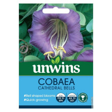 Unwins Grow Your Own Bell Shaped Cobaea Cathedral Bells Flower Seeds