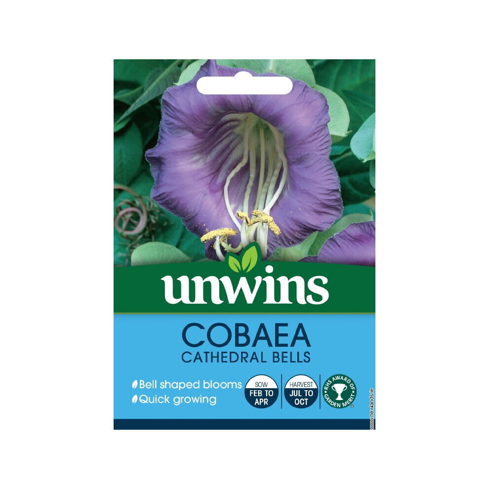 Unwins Grow Your Own Bell Shaped Cobaea Cathedral Bells Flower Seeds