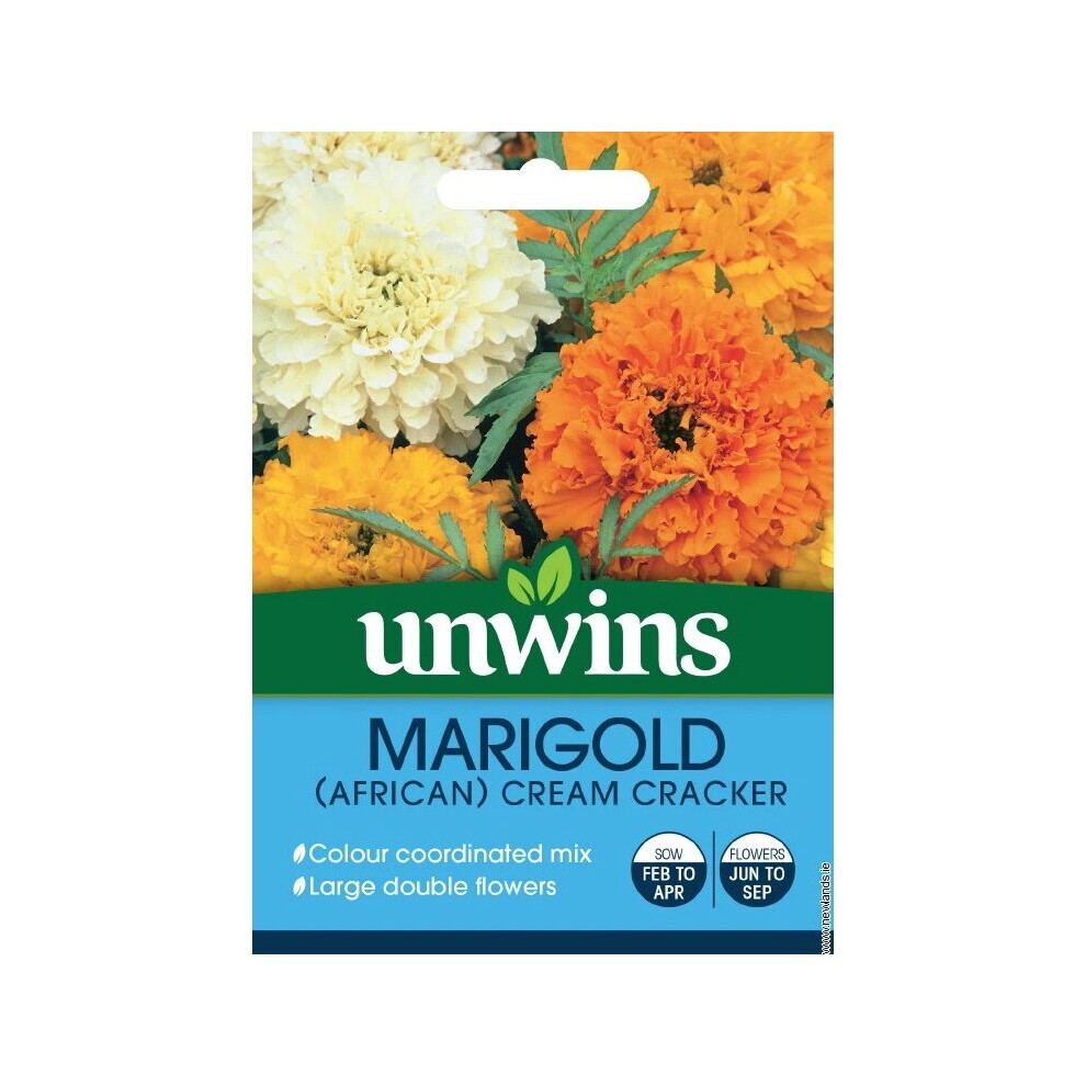 Unwins Grow Your Own Marigold African Cracker Flower Seeds Cream