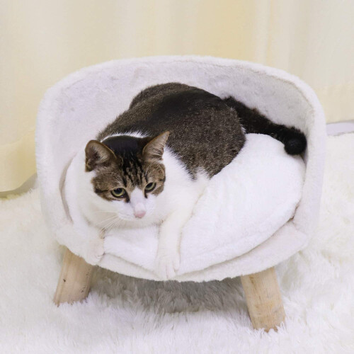 Bingopaw (S(40cm)) Elevated Cat Beds, Cat Stool Bed Durable Round Cat Chair Cushion Sofa 2