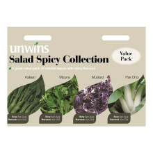 Unwins Salad Spicy Kailaan Mizuna Mustard Pak Choi Collection Seeds