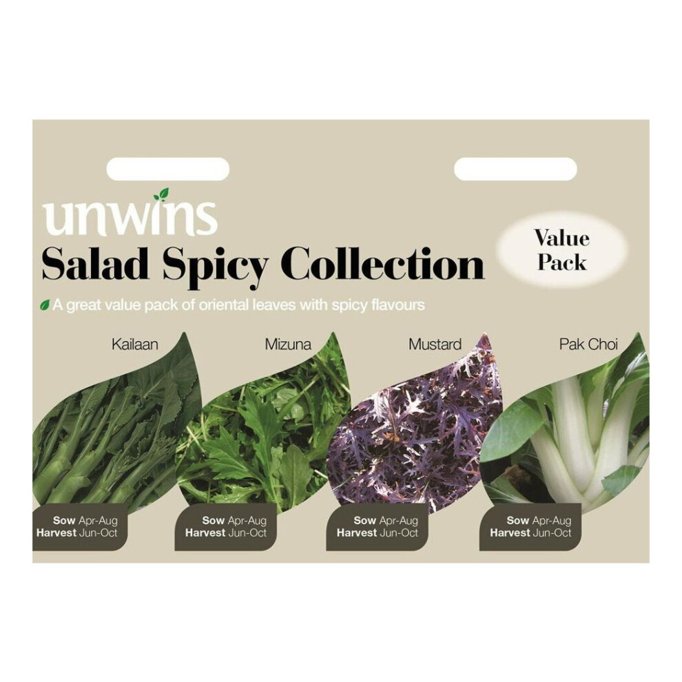 Unwins Salad Spicy Kailaan Mizuna Mustard Pak Choi Collection Seeds White