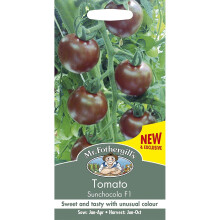 Mr Fothergills - Vegetable - Tomato Sunchocola F1 - 10 Seeds