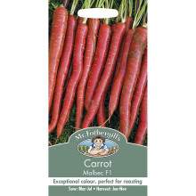 Mr Fothergills - Vegetable - Carrot Malbec F1 - 350 Seeds