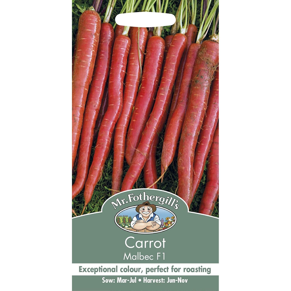 Mr Fothergill's - Vegetable - Carrot Malbec F1 - 350 Seeds
