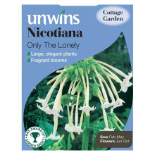 Unwins Grow Your Own Nicotiana Only The Lonely Fragrant Flower Seeds