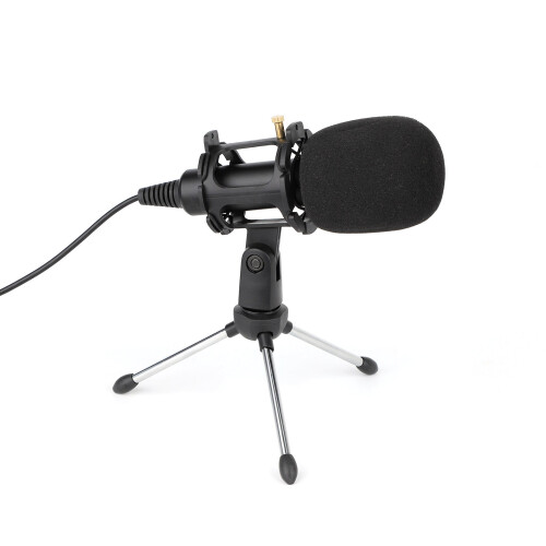 Condenser USB Microphone For Mac & Windows YouTube Skype Gaming Studio 2