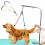 No-Sit Pet Grooming Tables Dog Grooming Restraint Harness Leash Loop 1