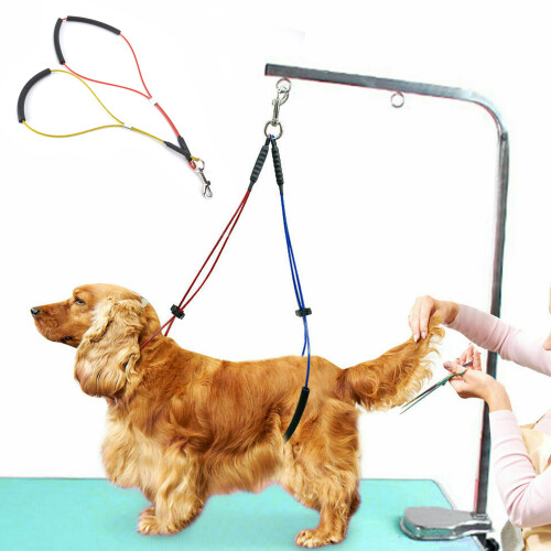 No-Sit Pet Grooming Tables Dog Grooming Restraint Harness Leash Loop