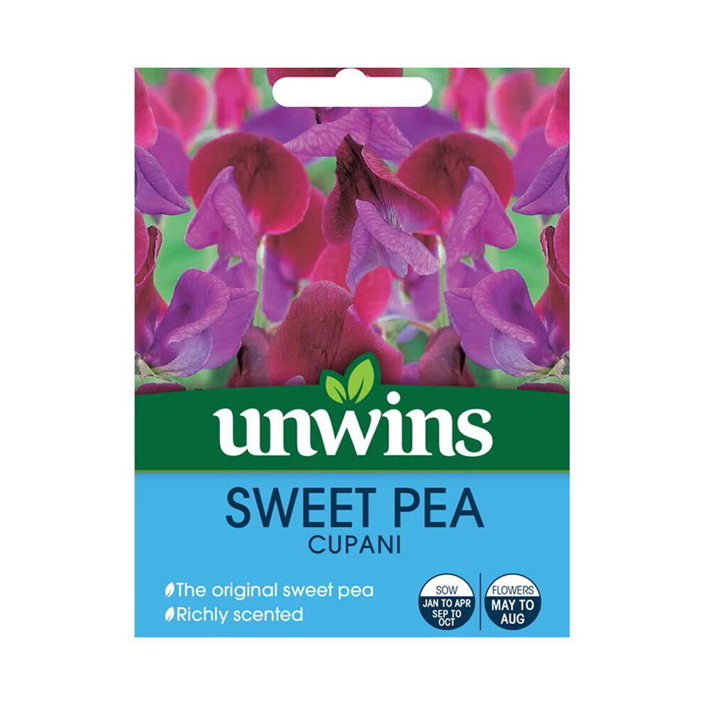 Unwins Flower Seeds Sweet Pea Cupani Violet Flowers Purple