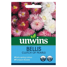 Unwins Grow Your Own Bellis Clutch Of Pearls Early Spring Flower Seeds