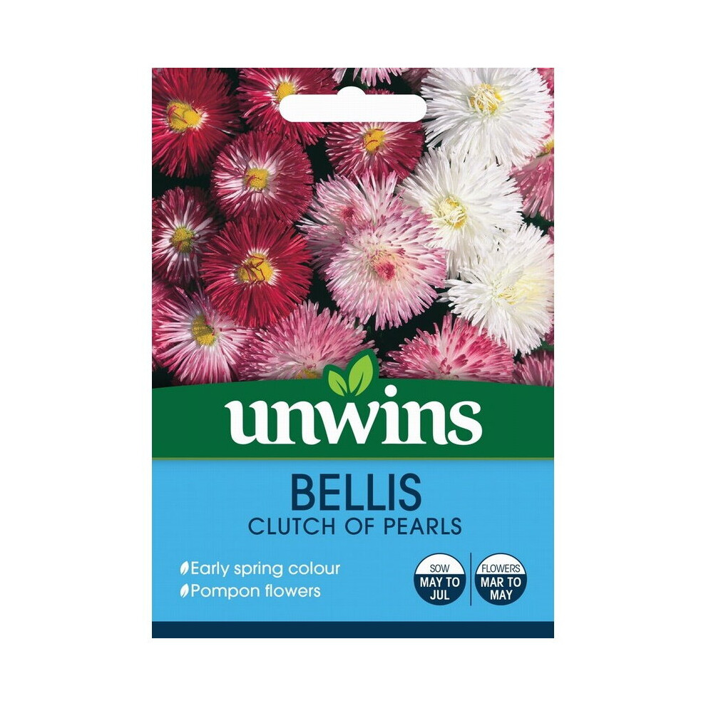 Unwins Grow Your Own Bellis Clutch Of Pearls Early Spring Flower Seeds