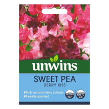 Flower Seeds Sweet Pea 'Berry Kiss' Pink Red Flowers