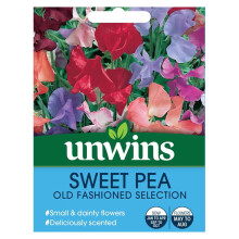Flower Seeds Sweet Pea Old Fashioned Easy Grow Scented Flowers