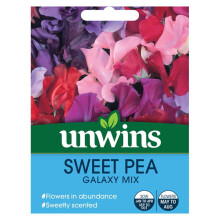 Flower Seeds Sweet Pea Galaxy Mix Easy To Grow Beautiful Flowers