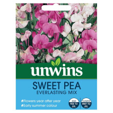 Flower Seeds Sweet Pea Everlasting Mix Pink Mauve White Climbing Plant