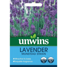 Unwins Grow Your Own Flowering Flower Seeds Lavender Munstead Strain