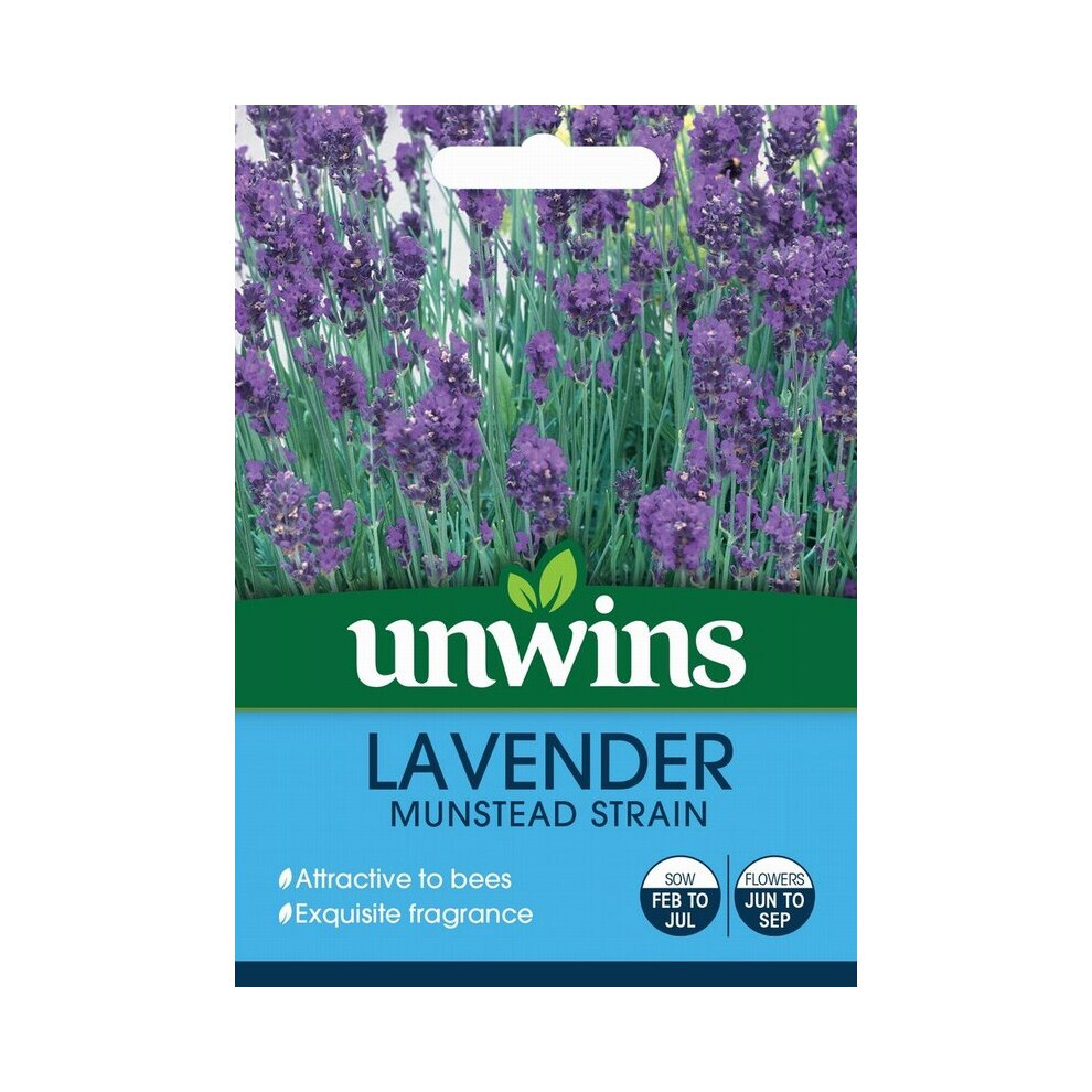 Unwins Grow Your Own Flowering Flower Seeds Munstead Strain Lavender