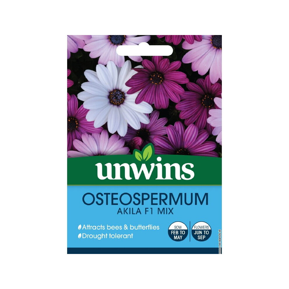 Unwins Grow Your Own Compact Osteospermum Akila F1 Mix Flower Seeds