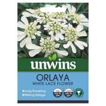 Unwins Grow Your Own Tall Stem Orlaya White Lace Long Flowering Seeds
