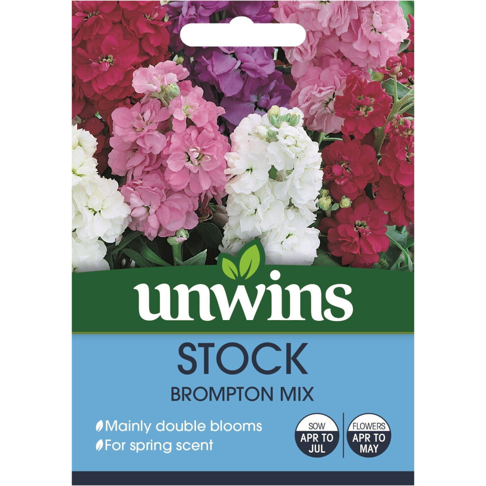 Unwins Grow Your Own Stock Brompton Mix Flower Seeds
