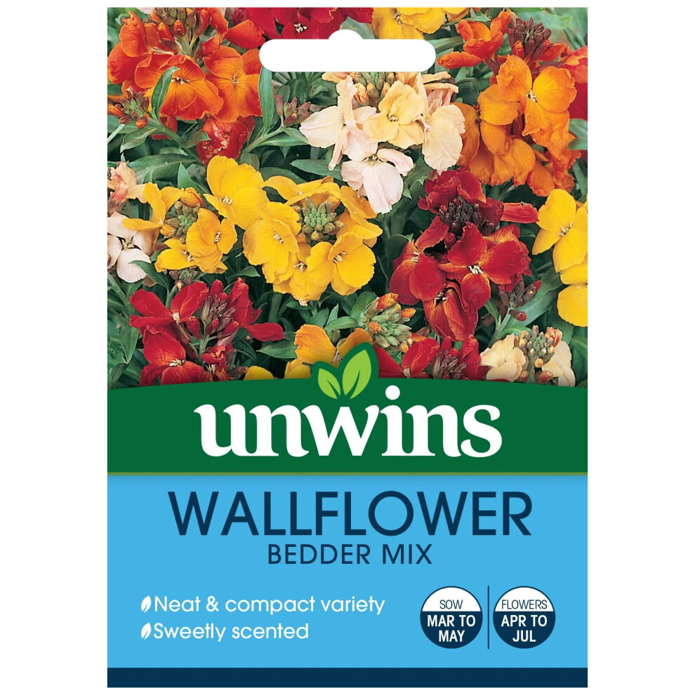 Unwins Pictorial Packet - Wallflower Bedder Mix - 600 Seeds