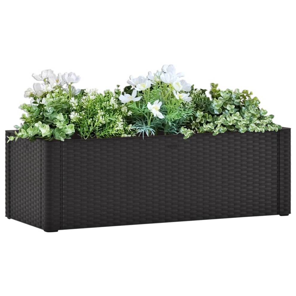 vidaXL Garden Raised Bed with Self Watering System Anthracite 100 cm Planter