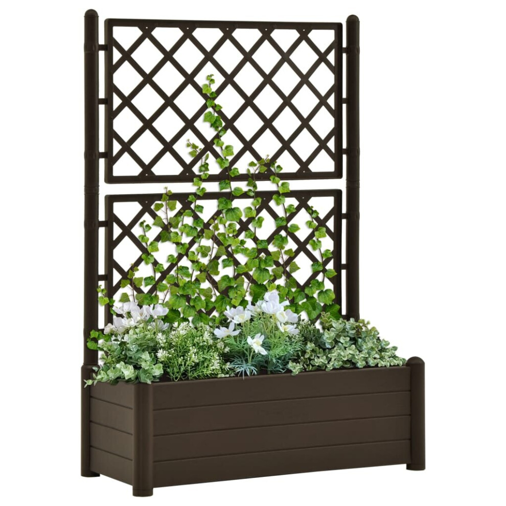 Vidaxl Garden Planter With Trellis Pp Mocha Flower Planting Box Raised Bed