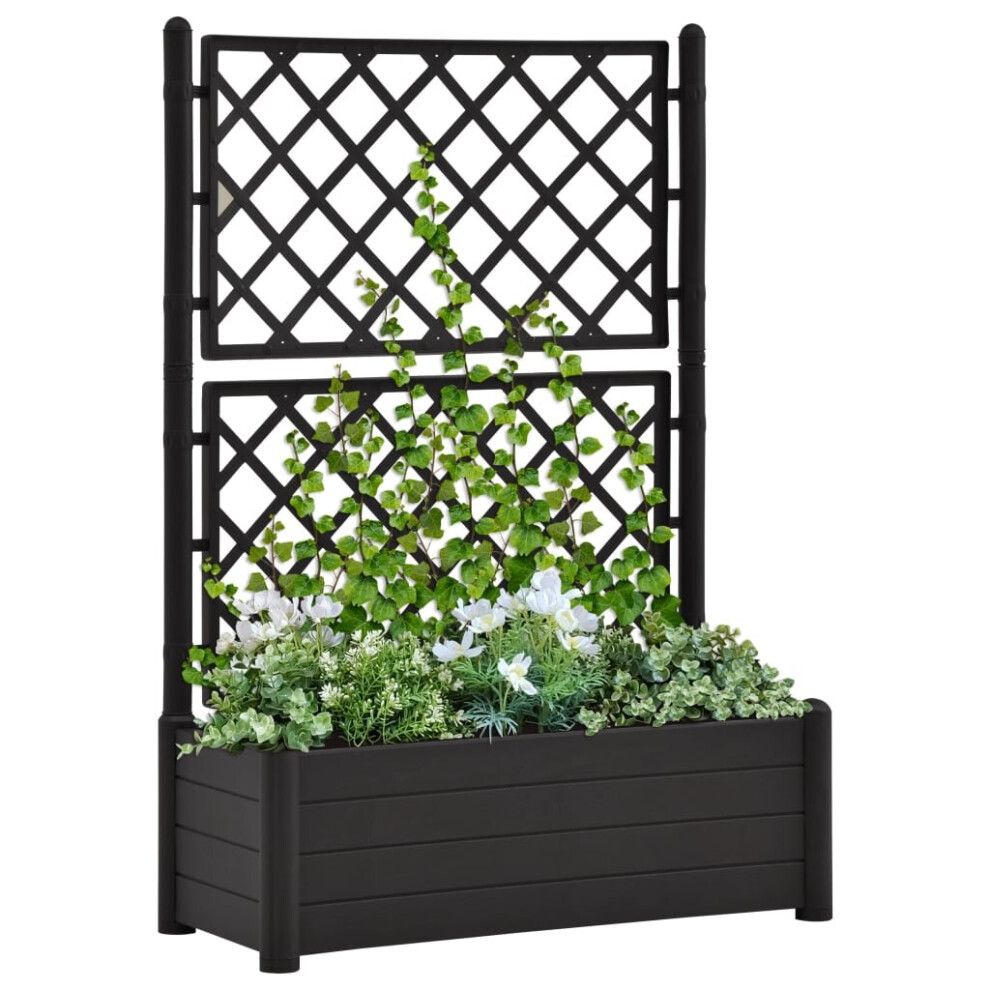 Vidaxl Garden Planter With Trellis Pp Flower Planting Raised Bed Anthracite
