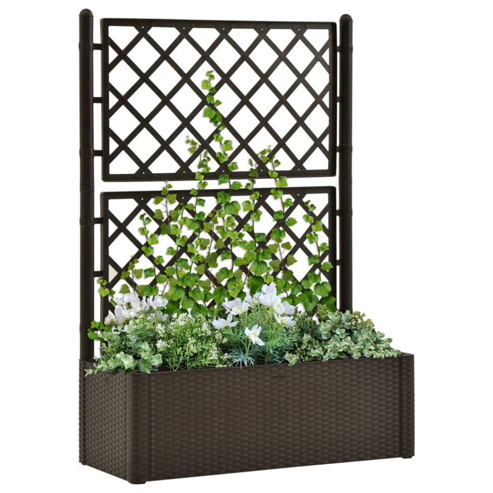 vidaXL Garden Raised Bed with Trellis and Self Watering System Mocha Planter