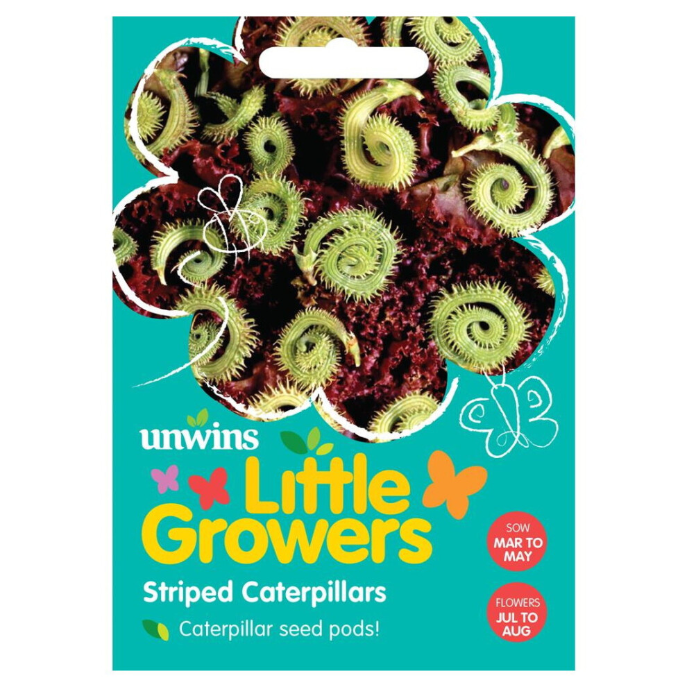 Unwins Grow Your Own Little Growers Striped Caterpillars Seed Pods Flower Seeds