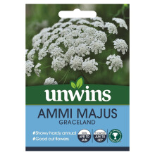 Unwins Grow Your Own Ammi Majus Graceland White Lacy Flowers Seeds