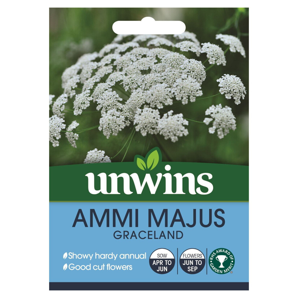 Unwins Grow Your Own Ammi Majus Graceland White Lacy Flowers Seeds