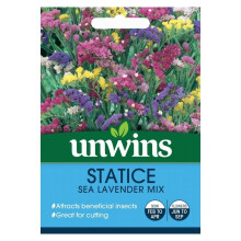 Unwins Grow Your Own At Home Statice Sea Lavender Mix Versatile Flower Seeds