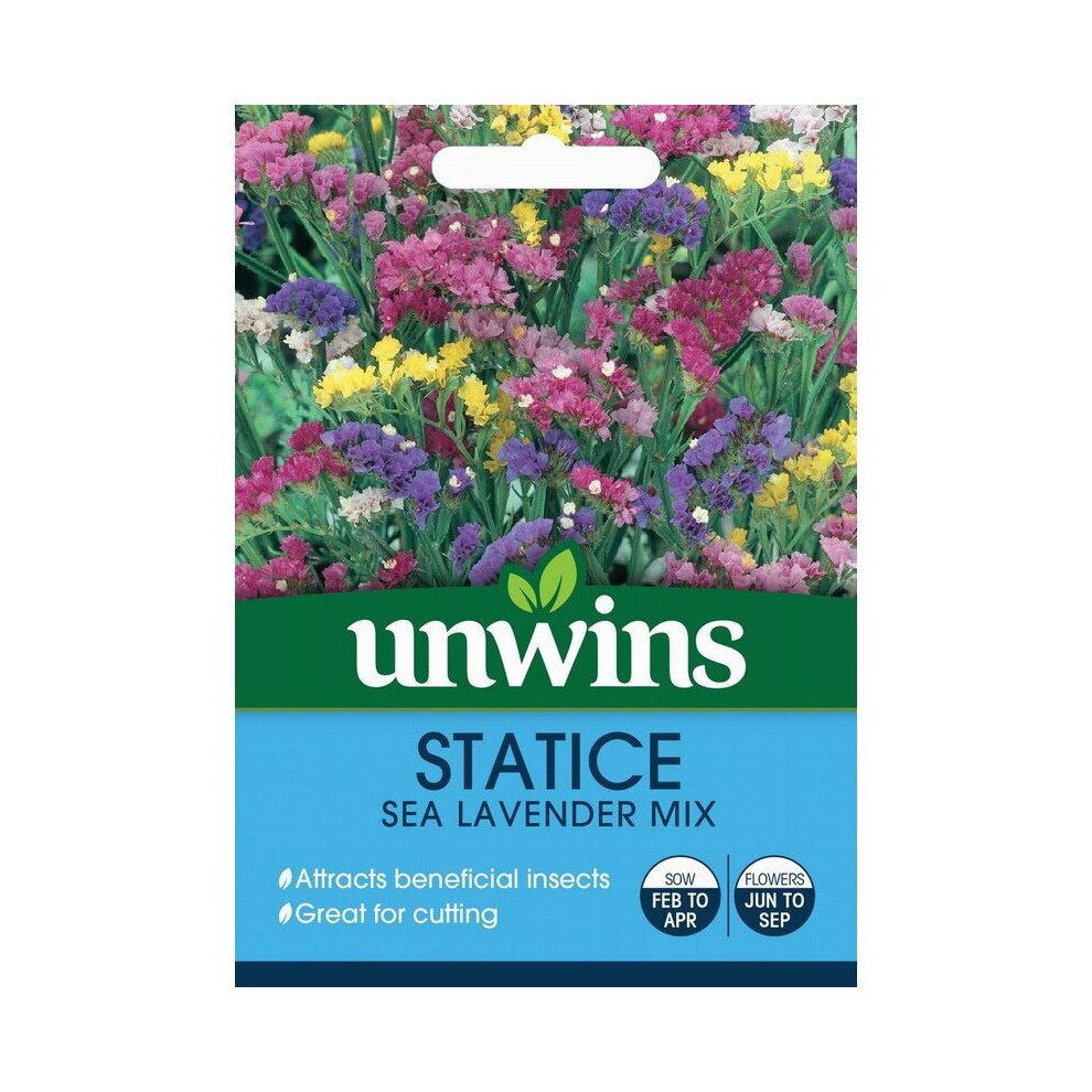 Unwins Grow Your Own At Home Statice Sea Lavender Mix Versatile Flower Seeds