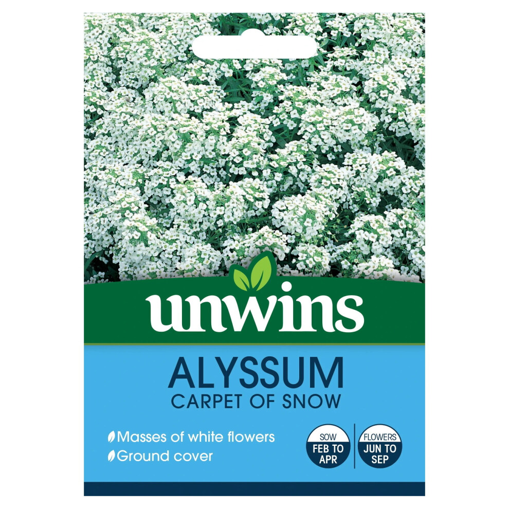 Unwins Grow Your Own Alyssum: Carpet of Snow Ground Cover Seeds – Masses of White Flowers for Beds, Rockeries & Edging (800 Seeds)