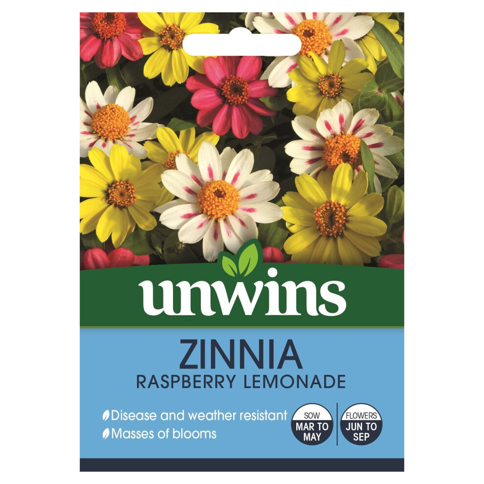 Unwins Grow Your Own At Home Zinnia Raspberry Lemonade Flowers Seeds