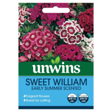 Unwins Grow Your Own Sweet William Early Summer Scented Flowers Seeds