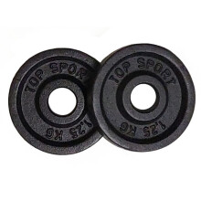 Cast Iron 30mm Weight Plates 2 x 1.25kg - Gym Grade Lifting Training